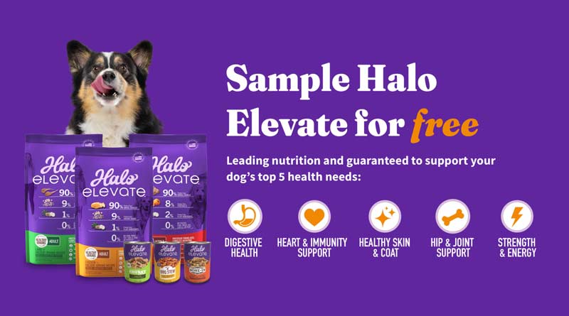 halo-elevate-dog-food