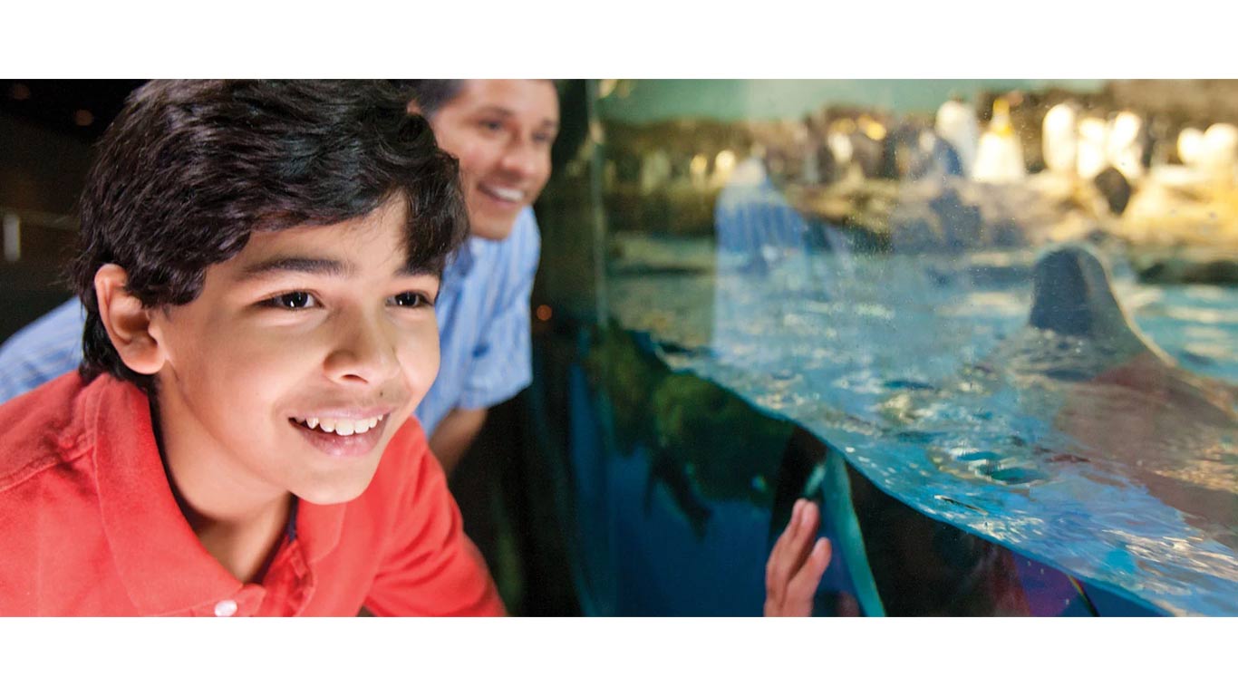 seaworld-tickets-for-teachers