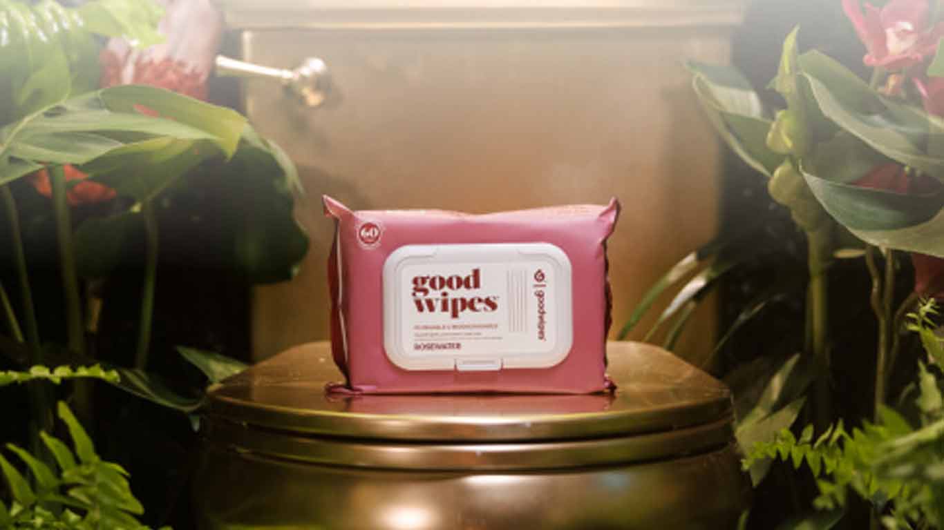 GoodWipes Flushable Wipes From Walmart – Free After Rebate