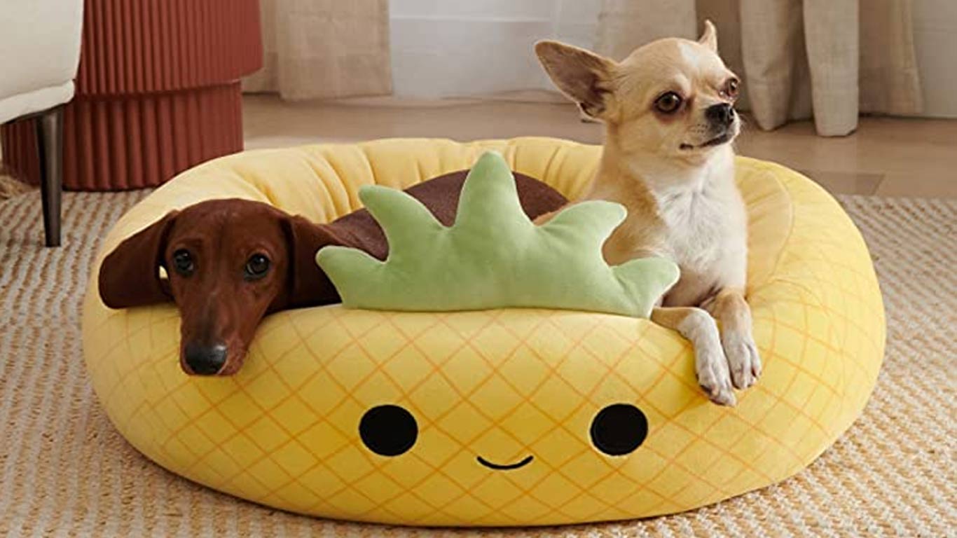 squishmallows-pet-beds